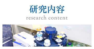 研究内容