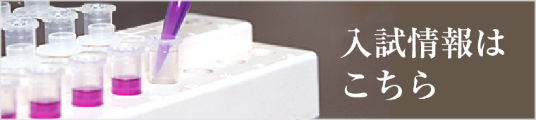 入試情報はこちら