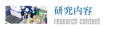 研究内容