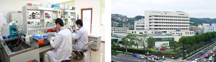 生理活性物質制御学イメージ