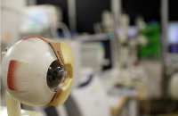 眼科学イメージ02