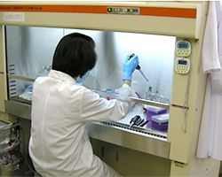 分子ウイルス感染研究分野