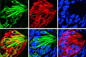 講座イメージ画像