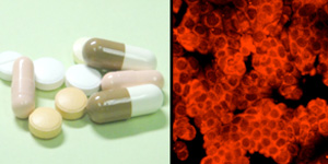 講座イメージ画像