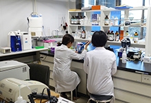 糖尿病・内分泌内科学