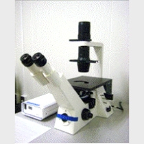 蛍光顕微鏡