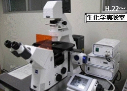 断層像取得型蛍光顕微鏡+Apo Tome(Zeiss)