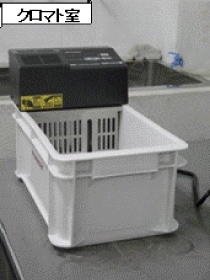 ウォーターバス