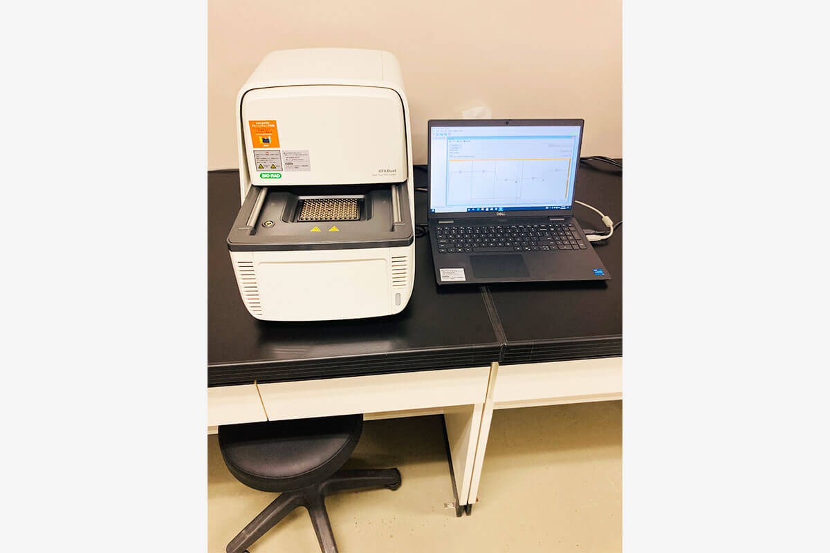 PCR解析装置 CFX-Duet