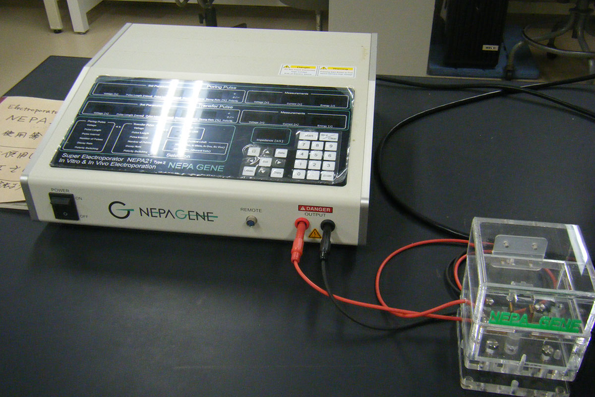 Electroporation装置