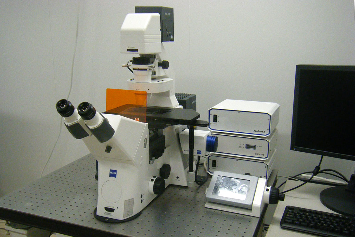 セクショニング蛍光顕微鏡