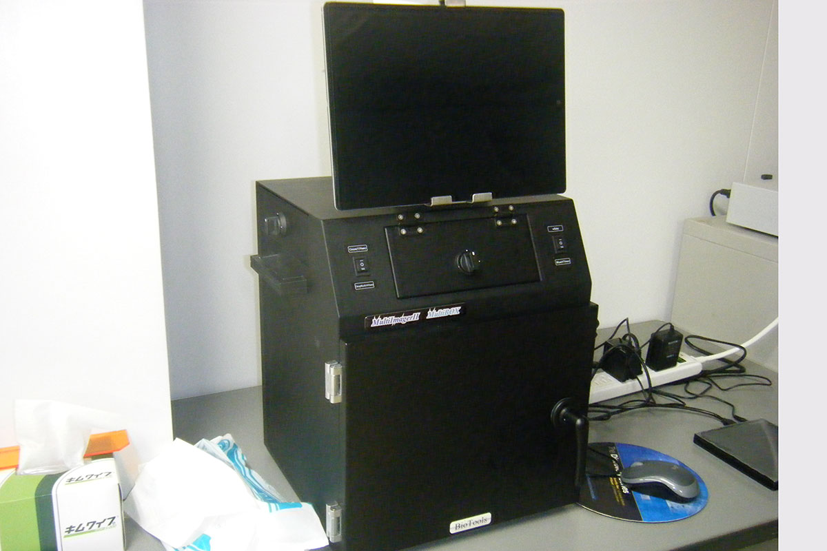 ケミルミ撮影装置